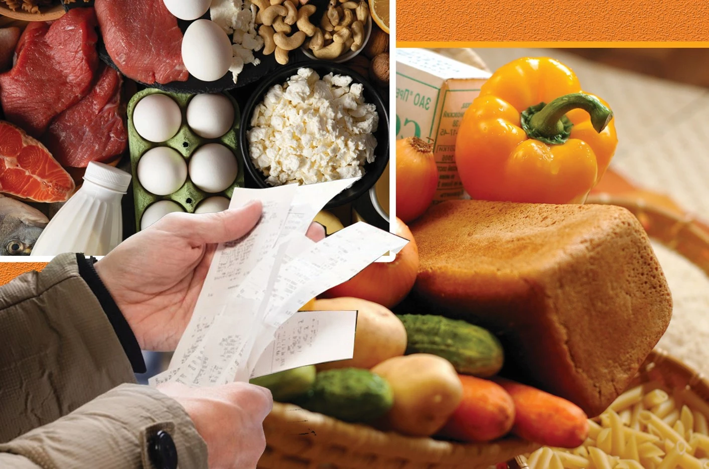 باقىلاۋداعى باعا كوڭىل كونشىتە مە؟