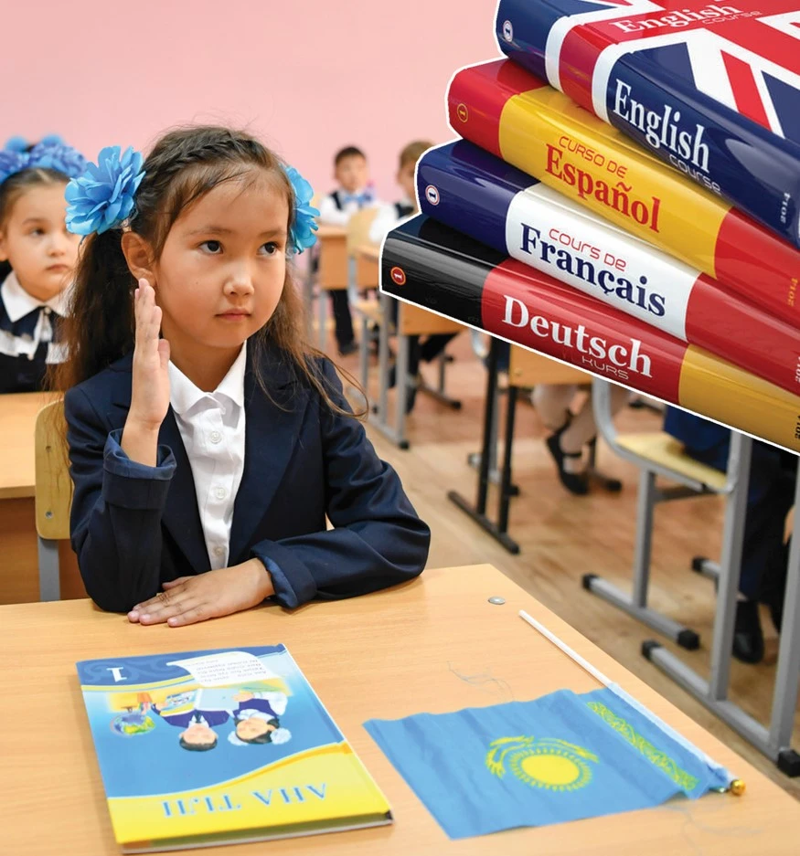 مەملەكەتتىك ءتىل مارتەبەسى: شەتەلدىك تاجىريبە