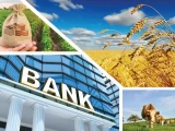اگروبانك تۋرالى يدەيا بانكتەردەن قولداۋ تاپپادى