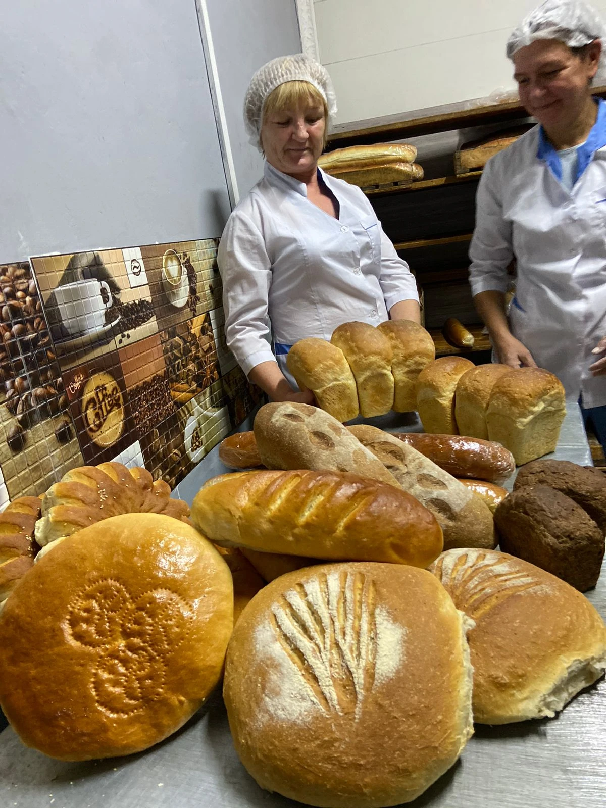 نان – تاعامنىڭ اتاسى