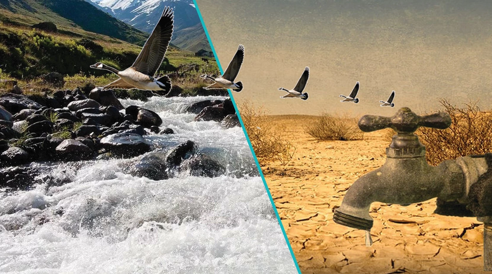 ورتالىق ازياعا ورتاق سۋ ماسەلەسى