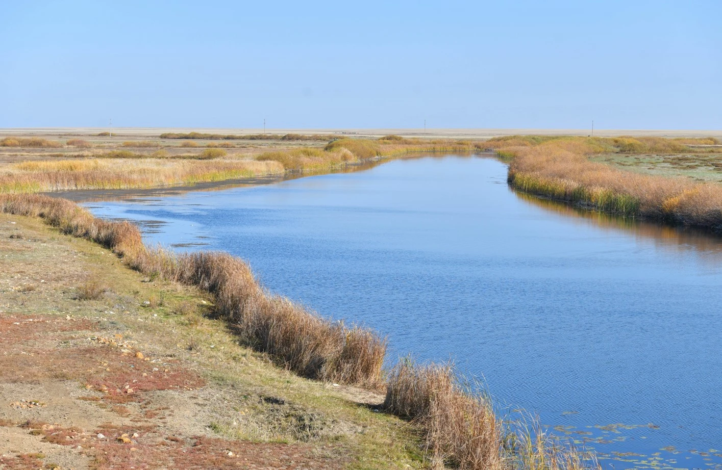 اۋىز سۋسىز اۋىل قايتىپ كۇن كورەر؟