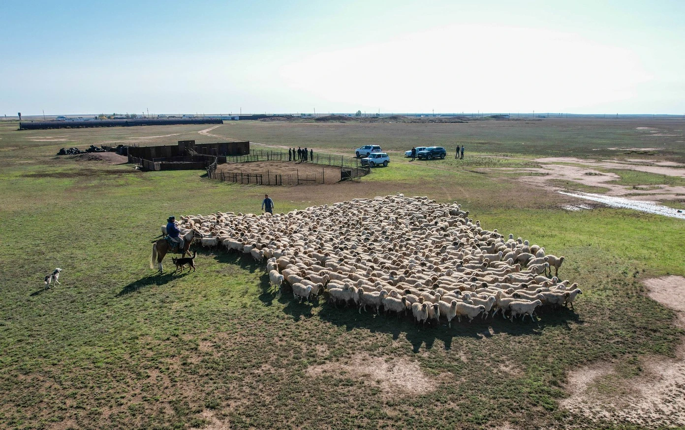 «اۋىل اماناتى»: باعدارلاما قايتسە باياندى بولادى؟