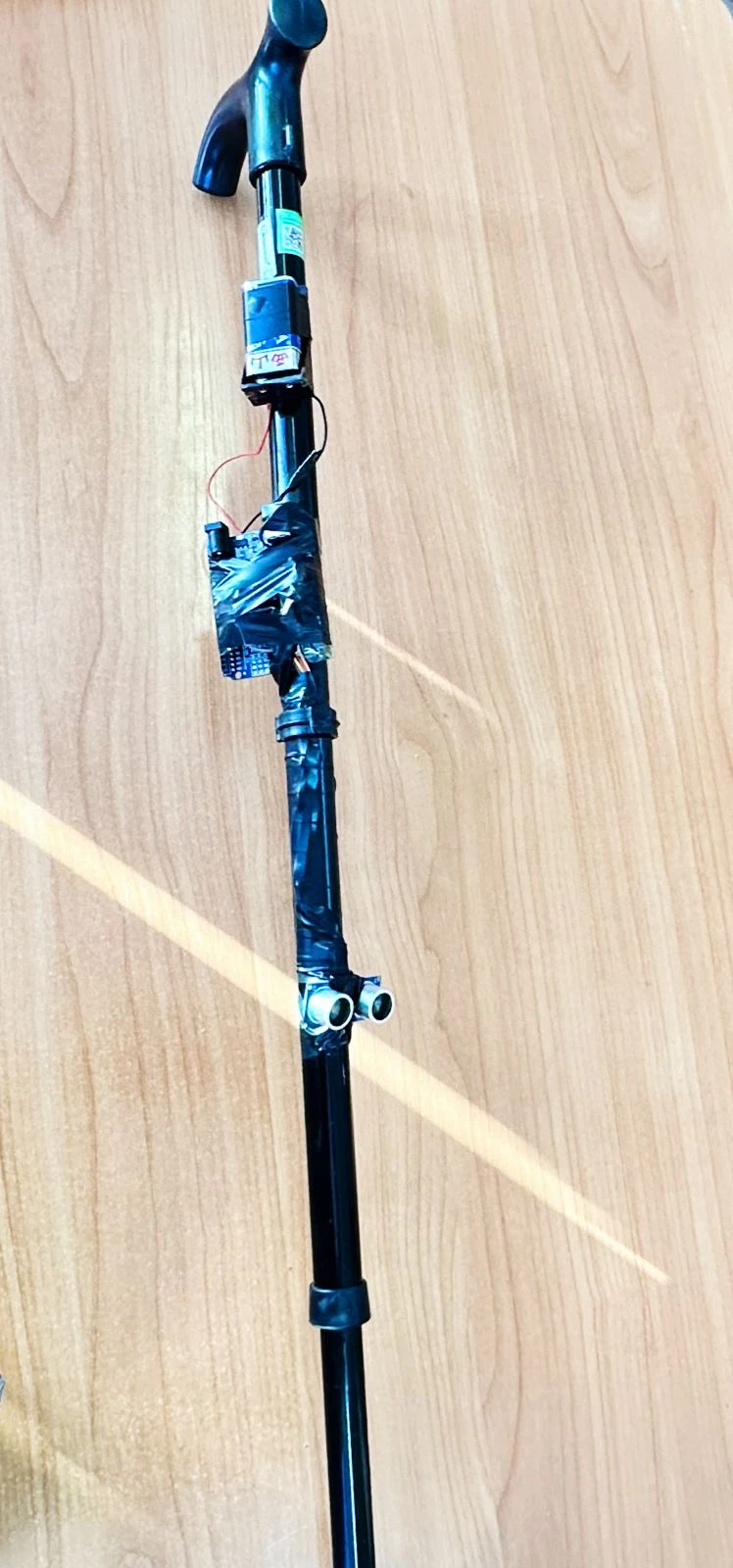 ەلەكتروندى جەتەكشى