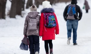 وقۋشىلاردىڭ قىسقى كانيكۋلعا قاشان شىعاتىنى بەلگىلى بولدى