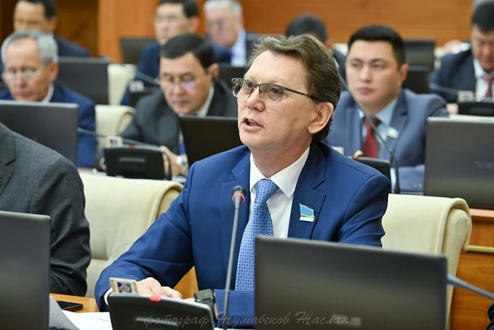 سيرەك كەزدەسەتىن مەتالدى ۇقساتا الماي وتىرمىز – دەپۋتات