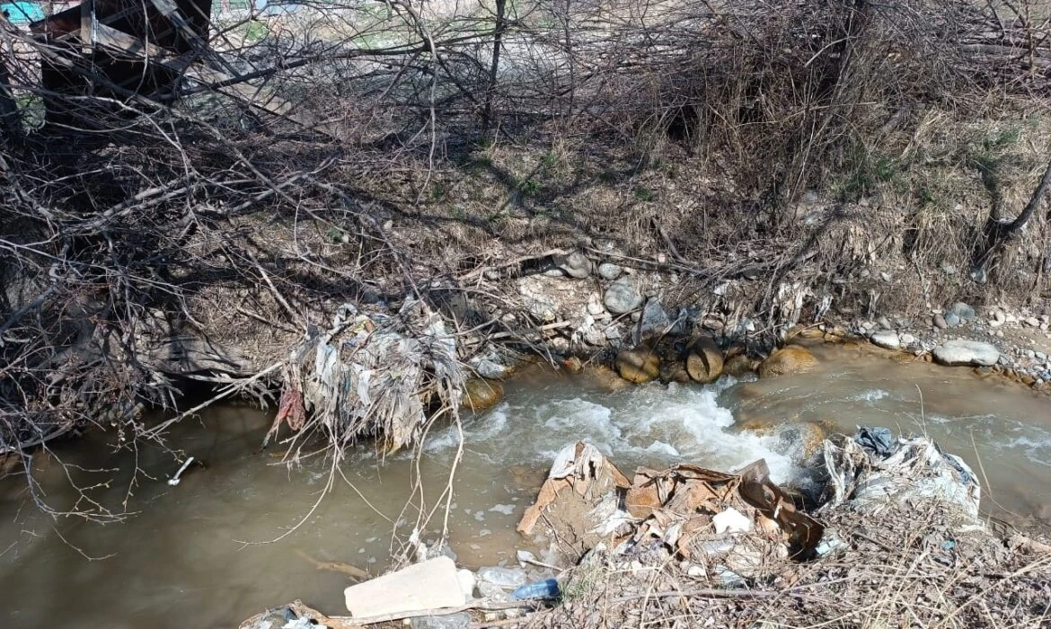 الماتىدا جوعالعان ەر ادامنىڭ ءمايىتى تالعاردان تابىلدى