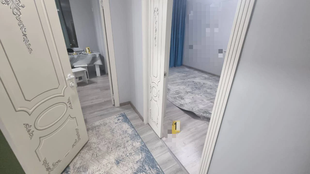 «توسىن سىي بەرەمىن» دەپ تاقىرعا وتىرعىزدى