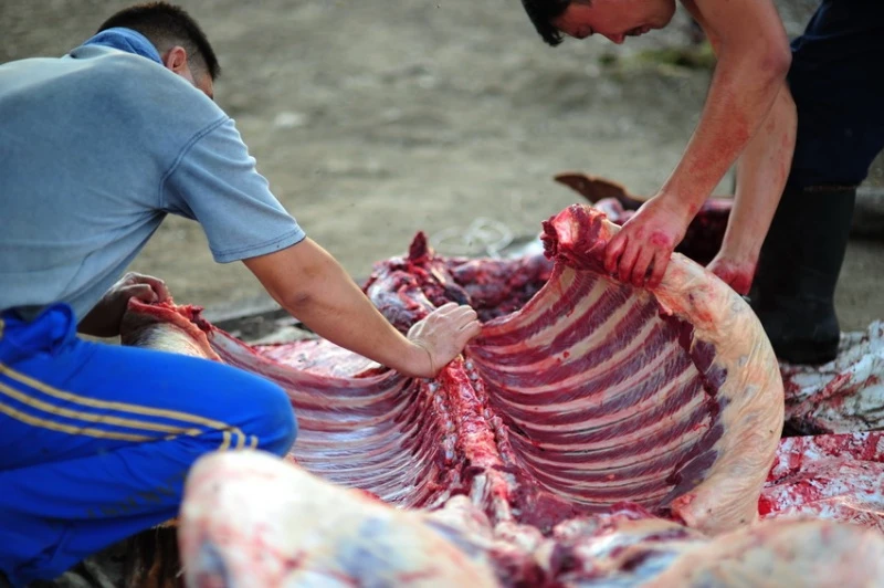 سوعىمىڭ شۇيگىن بولسىن!..