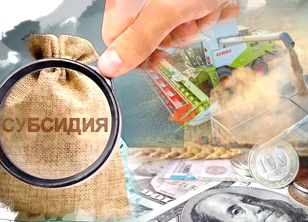 سارساڭعا سالعان سۋبسيديا