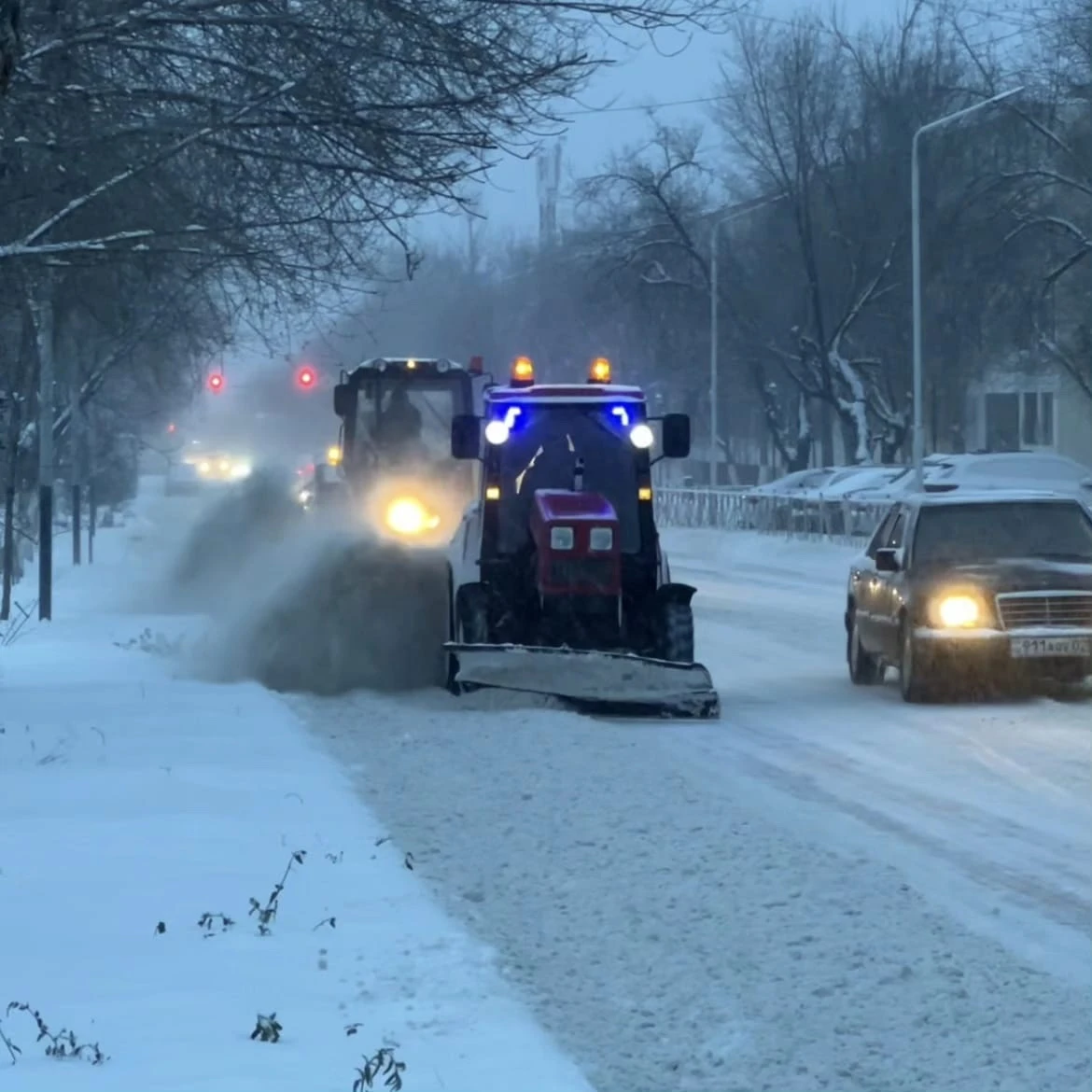 كۇشەيتىلگەن تارتىپكە كوشكەن