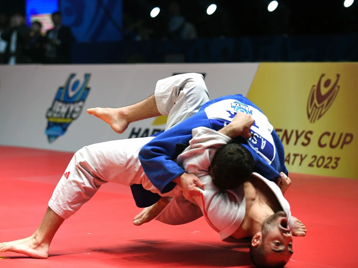 تارتىسقا تولى تاتامي