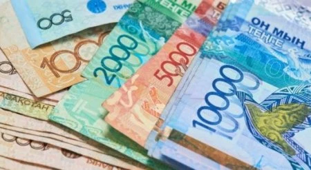 ەلىمىزدە زەينەتاقى مەن جاردەماقىعا بيۋدجەتتەن قانشا قارجى ءبولىندى؟