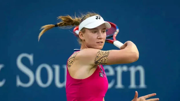 ەلەنا – شيرەك فينالدا