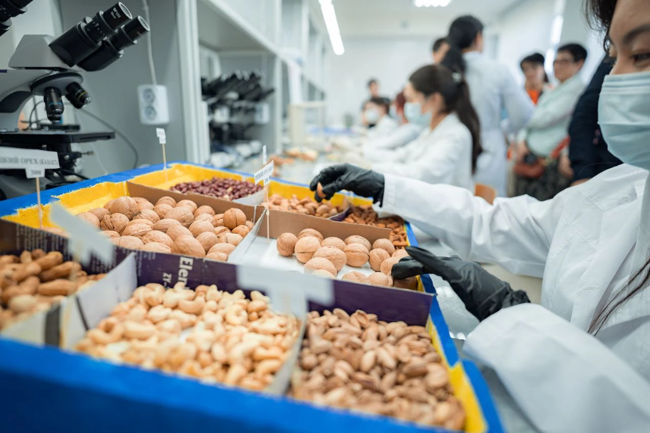 جاڭعاقتان دا قاۋىپ بار