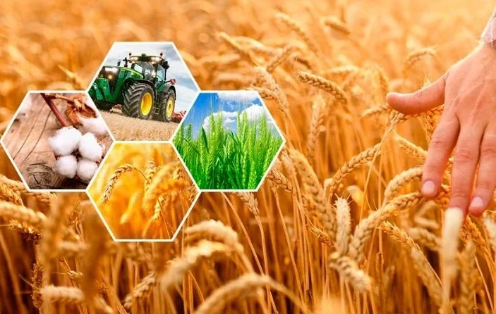 2025 جىلى ەلىمىزدە اۋىل شارۋاشىلىعى ساناعى وتەدى