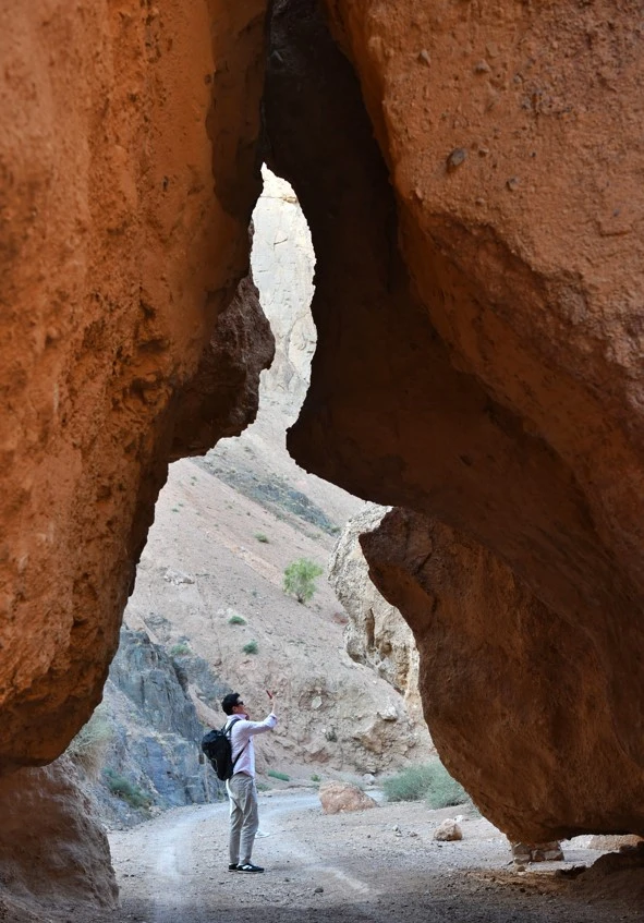 ەل دامۋىنىڭ درايۆەرى