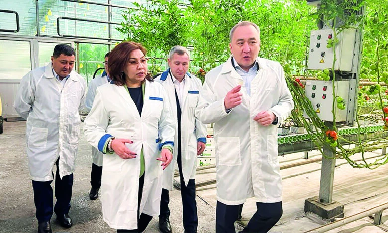 نازار اۋداراتىن جايتتار بار