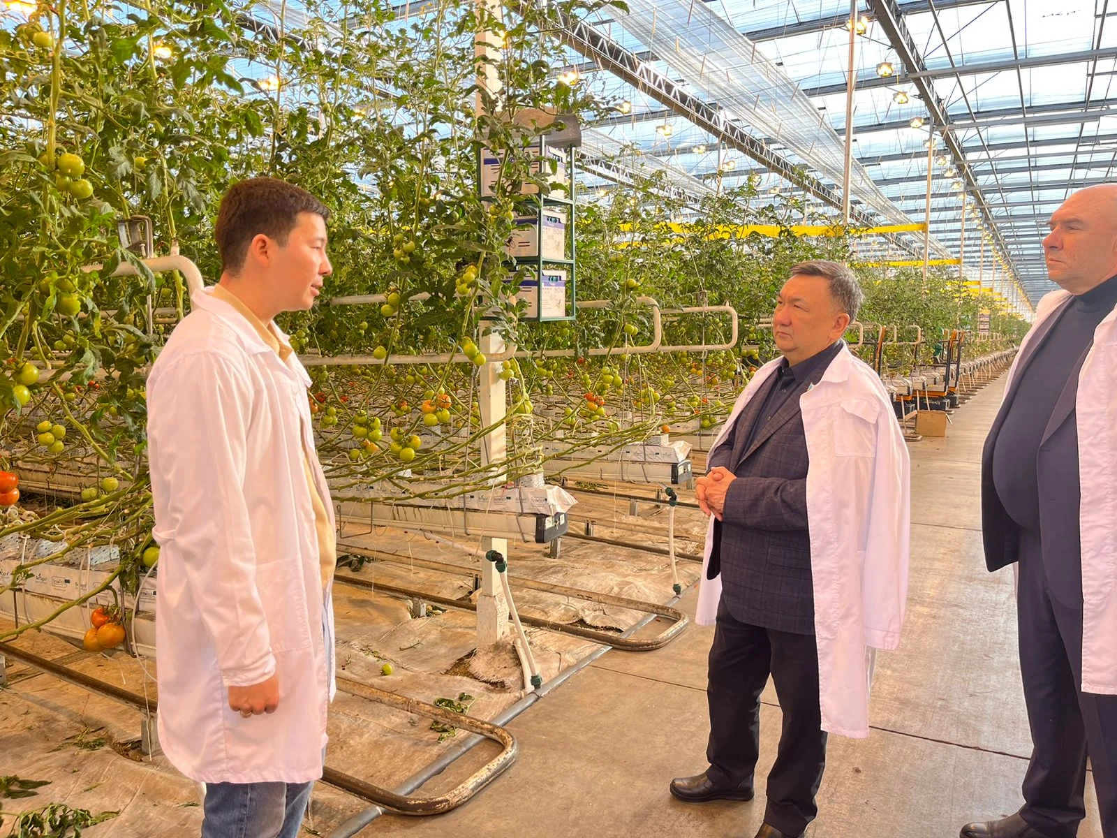 جىلىجاي بىلىكتى ماماندارعا ءزارۋ