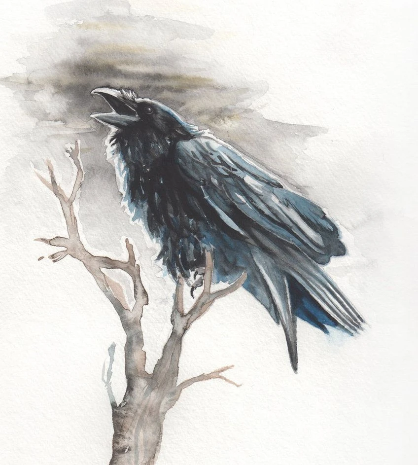 شۇكىرشىلىك