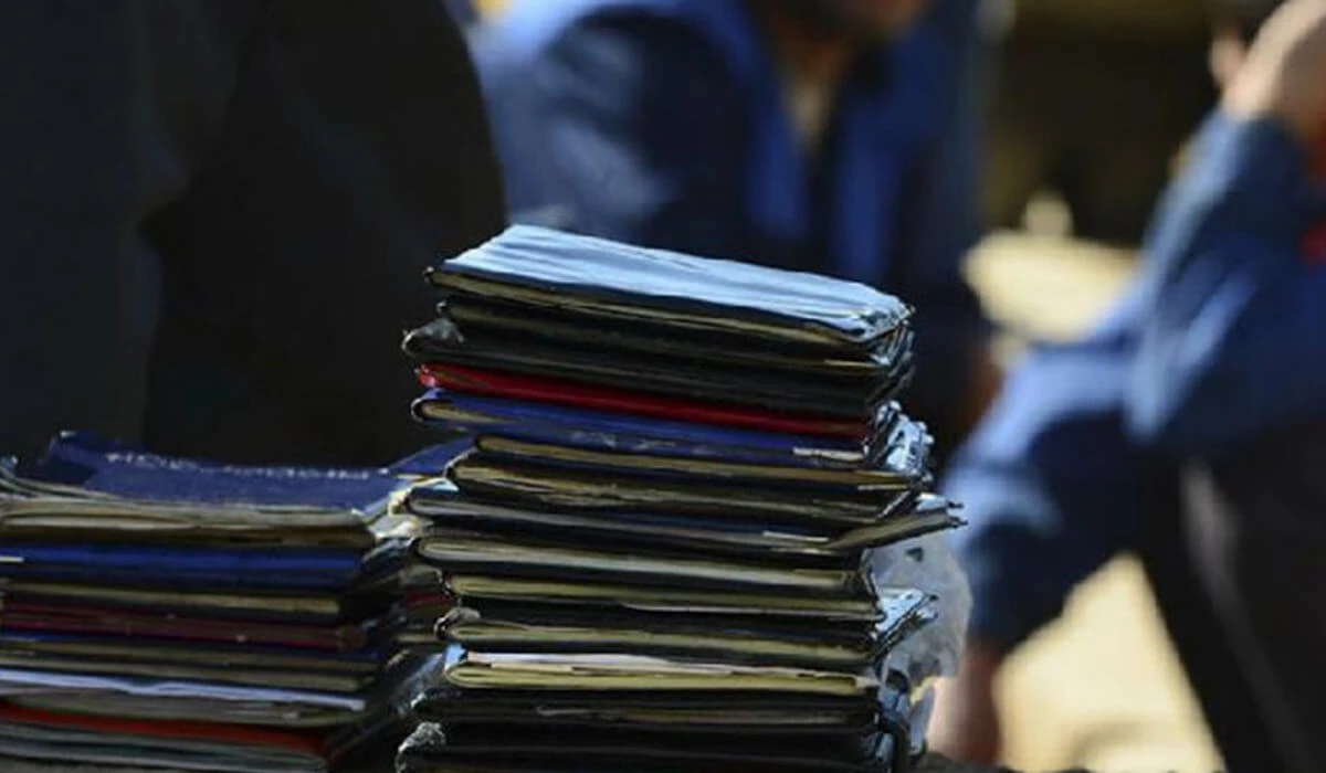 پاۆلوداردا كوشى-قون زاڭناماسىن بۇزعان شەتەل ازاماتتارى جاۋاپقا تارتىلدى