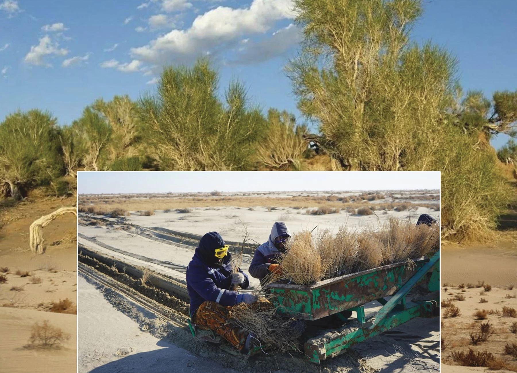 قۇرعاعان ۇلتان قاراۋسىز قالمايدى