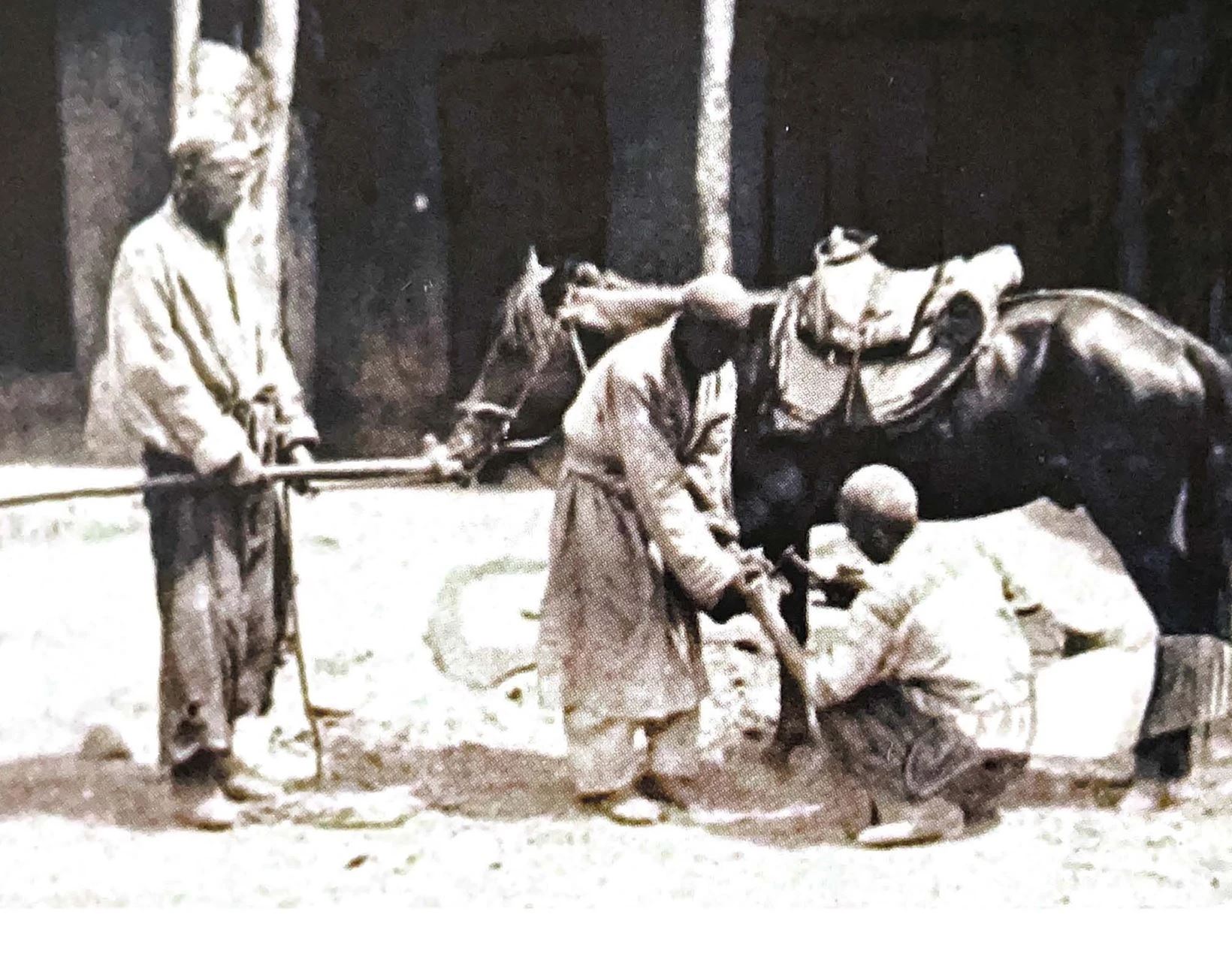 قازاق – قاشاندا قازاق!