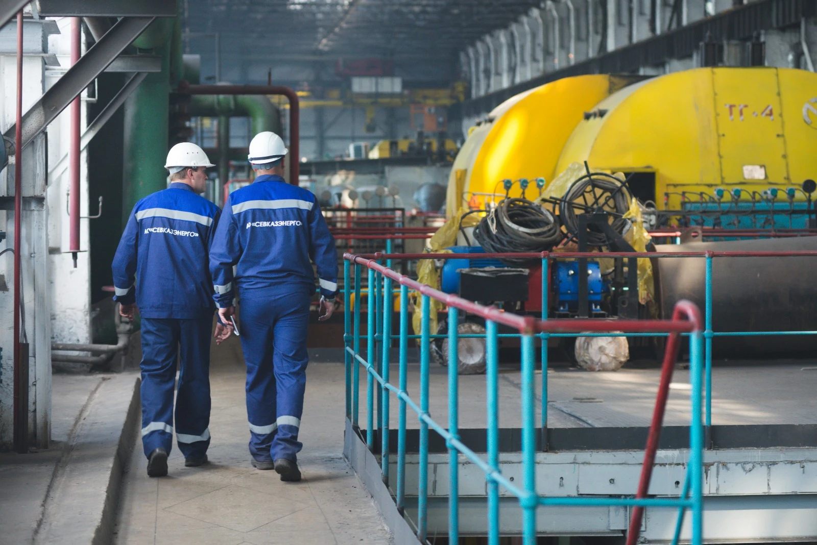 مۇرجانىڭ جىرى قاشان بىتەدى؟