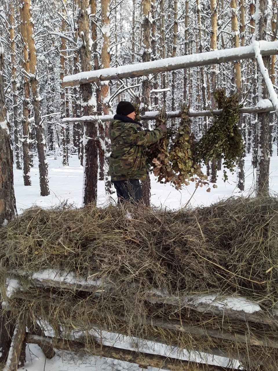 ورمانشى – ءتۇز تاعىسىنىڭ قامقورى