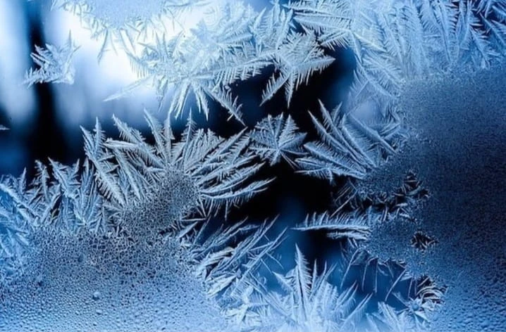 استانادا ەكىنشى اۋىسىمنىڭ وقۋشىلارى قالاي وقيتىنى حابارلاندى