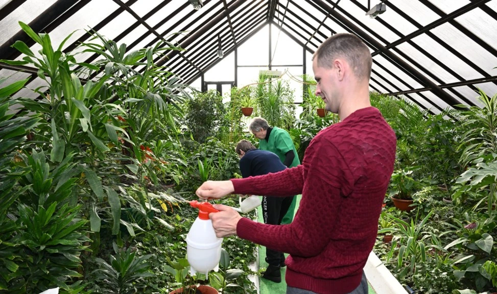 رياسىز قامقورلىق