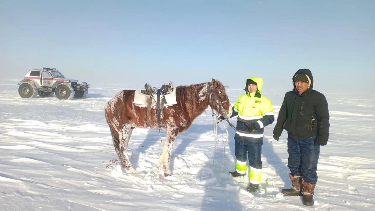 «ءتورت كۇننەن كەيىن تابىلدى». بوراندا اداسقان مالشى ءيتىنىڭ ارقاسىندا امان قالدى