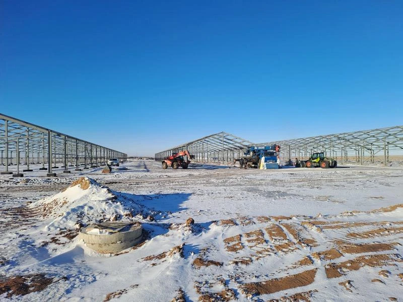 اسىل تۇقىمدى سيىر فەرماسى