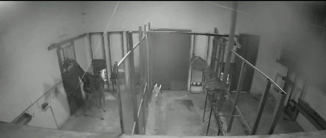 «اڭدار دا ۇرىكتى». زووباقتاعى جانۋارلاردىڭ جەل سىلكىنىسىن سەزگەنى ايتىلدى