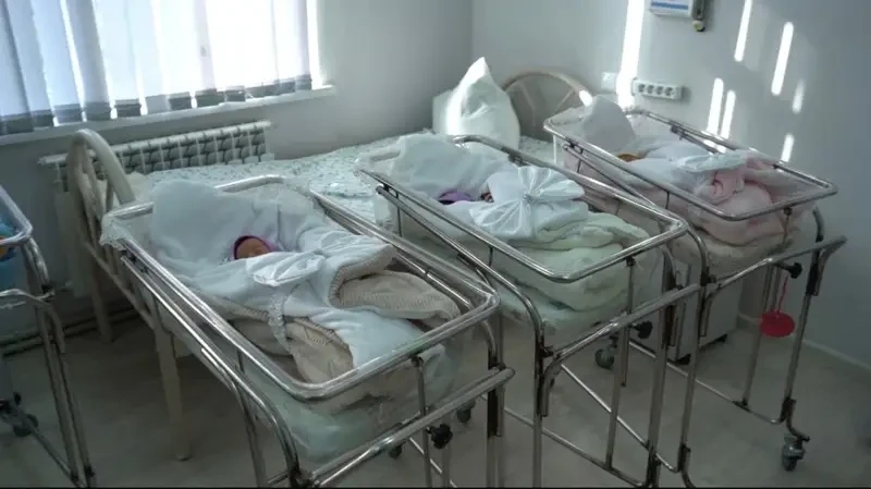 سارىاعاشتا ۇشەم ومىرگە كەلدى