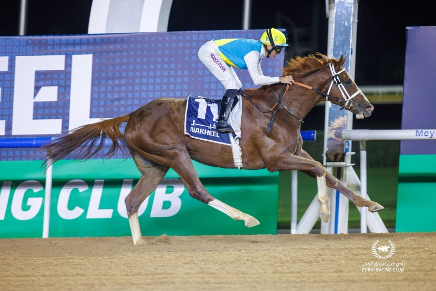 «1 ميلليون دوللار ۇسىنعاندا, ساتپادىم». 100 جىلدا ءبىر تۋاتى­ن تۇلپاردىڭ يەسى