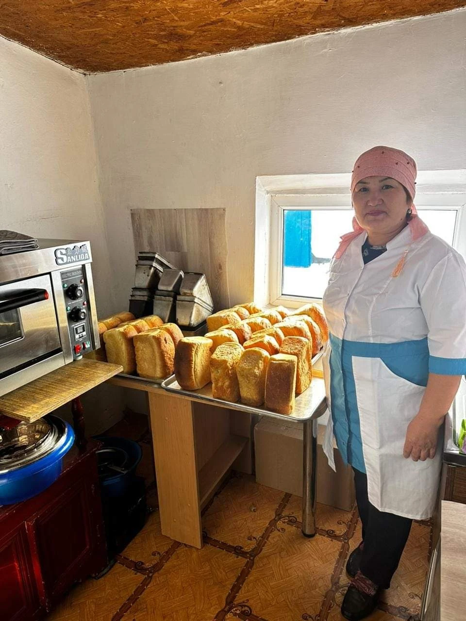 شاعىن ناۋبايحانا شاراپاتى