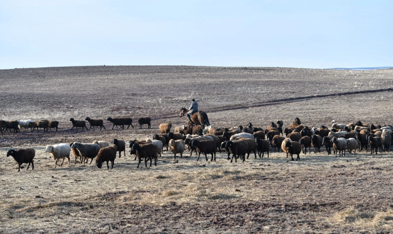 شوپان جوق, شيكىلىك نەدە؟