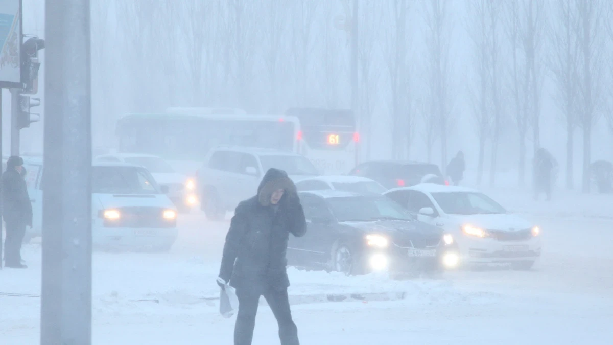 ەلىمىزدىڭ باسىم بولىگىندە كوكتايعاق, تۇمان كۇتىلەدى