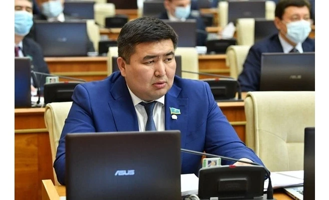 ويىنا كەلگەنىن ىستەيتىندەر كوبەيدى – دەپۋتات