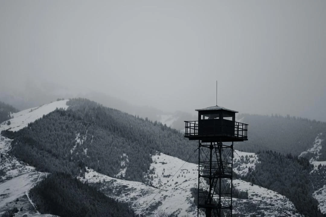 قازاقستان شەكاراسىن زاڭسىز كەسىپ وتكەندەر جاۋاپكەرشىلىككە تارتىلدى