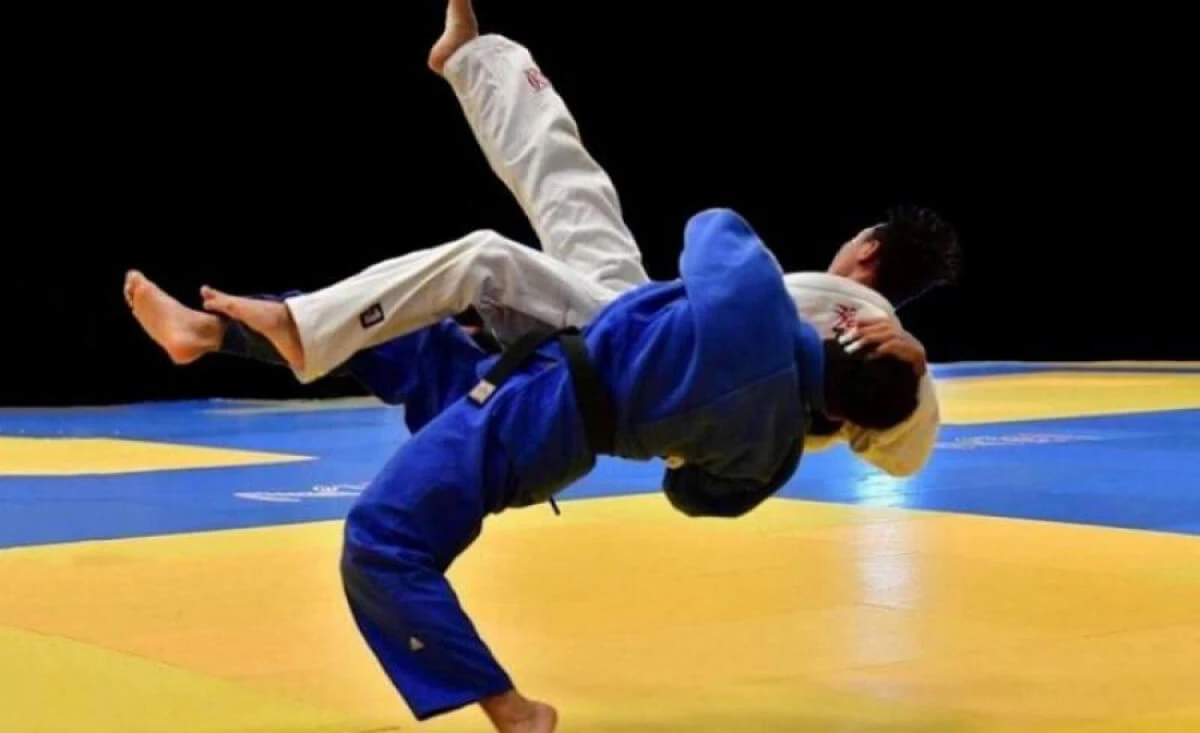 مىقتىلار پاريجدە توعىستى