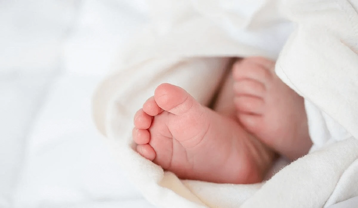 جاڭا تۋعان 7 مىڭنان استام سابيگە جسن بەرىلدى