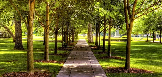 سالتاناتى باسەڭ ساياباق