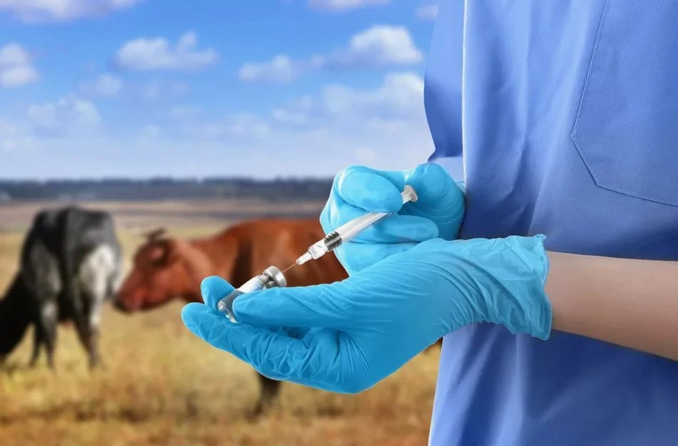 جاڭا قۇرىلعىلارمەن جابدىقتالادى