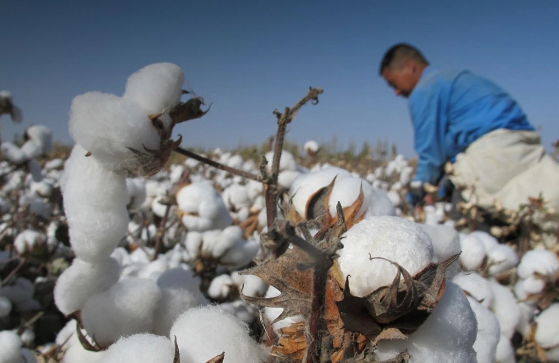 قازاق – قاشاندا قازاق!