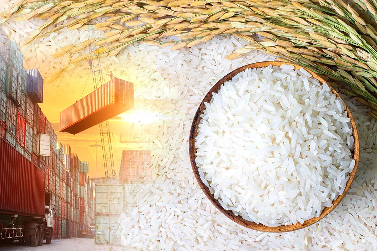 الەمدىك نارىقتاعى قازاقستان كۇرىشى