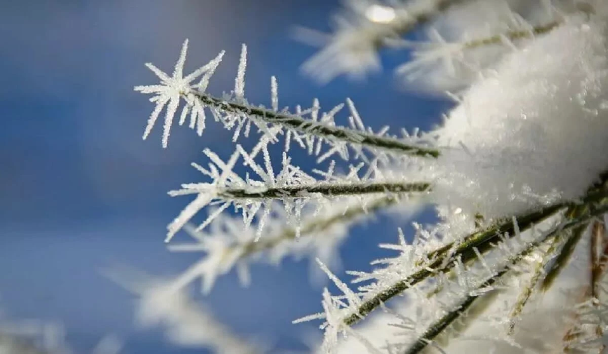 الداعى كۇندەرى 20 گرادۋسقا دەيىن اياز كۇتىلەدى
