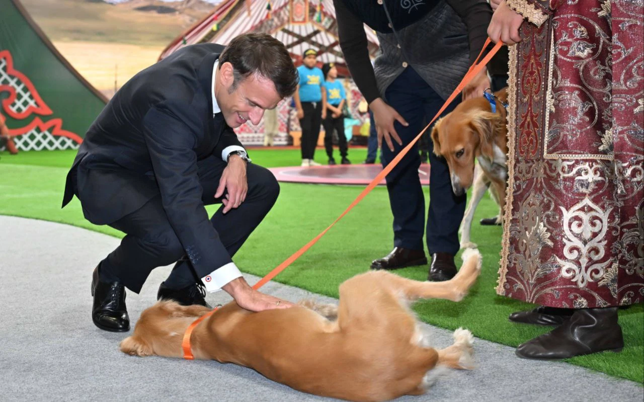 قاسىم-جومارت توقاەۆ فرانتسيا پرەزيدەنتىنە قازاقى تازىنىڭ ەكى كۇشىگىن سىيلادى