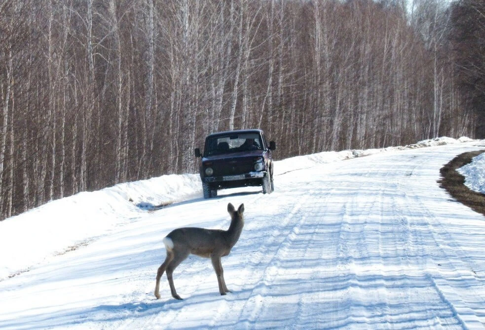 ەلىكتەر شاھاردى ءجيى جاعالاپ ءجۇر